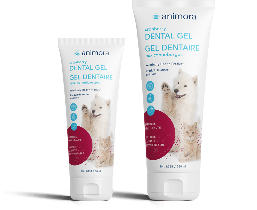 Animora gel dentaire aux canneberges - Hygiène dentaire - Animora - Animora gel dentaire aux canneberges