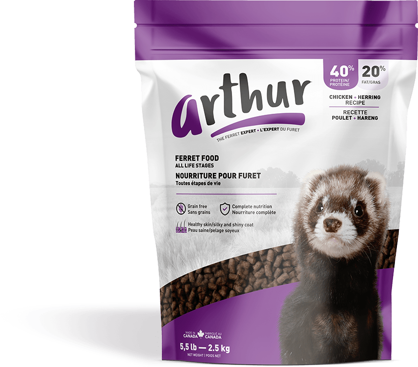 Arthur poulet et hareng nourriture furet - Nourriture Furet - Arthur - Arthur poulet et hareng nourriture furet