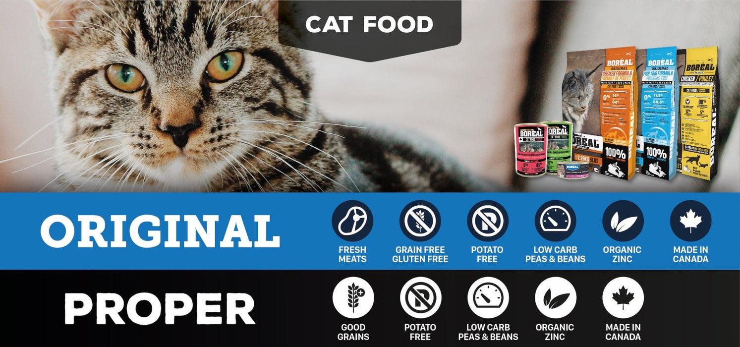Boréal original poulet nourriture sans grain pour chat,chaton (produit du Canada) - CHAT NOURRITURE SÈCHE - BOREAL - #original_value#