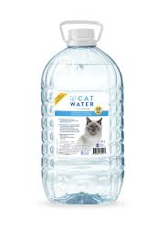 Cat water eau formule urinaire pour chat - Chat santé - CAT WATER - Cat water eau formule urinaire pour chat