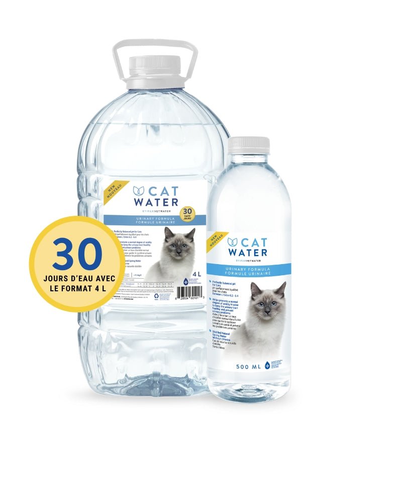 Cat water eau formule urinaire pour chat - Chat santé - CAT WATER - Cat water eau formule urinaire pour chat