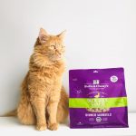 Stella & chewy dinner morsels duck duck cru lyophilisé nourriture pour chat et chaton