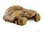 Exo terra cachette naturelle x-large pour reptiles - accessoires reptiles - EXO TERRA - Exo terra cachette naturelle x-large pour reptiles