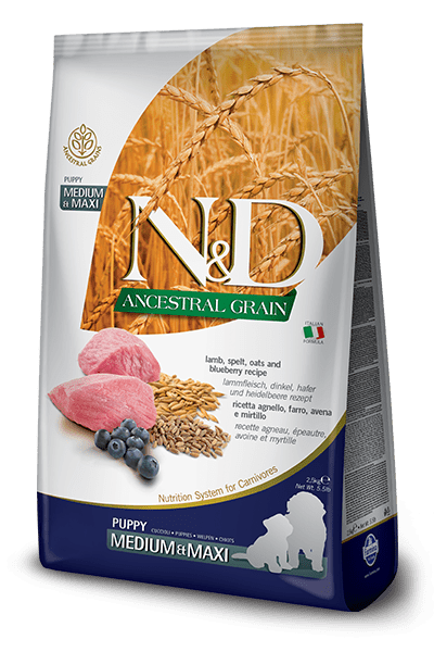 Farmina n&d agneau et bleuet avec grains nourriture pour chiots medium maxi - Nourriture pour chiens - FARMINA - #original_value#