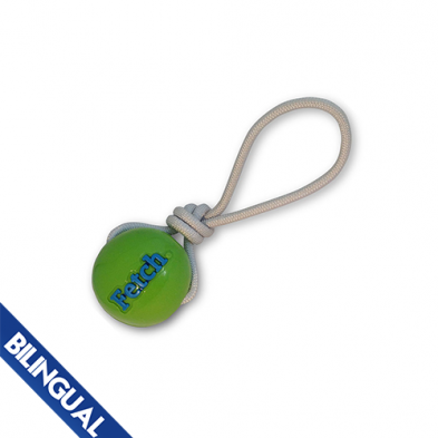 Balle fetch verte avec corde planet dog pour chien