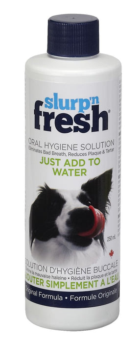 Fresh solution d'hygiène buccale pour chiens - Hygiène dentaire - slurp's - Fresh solution d'hygiène buccale pour chiens