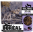 Gâterie Boreal agneau séchée à l'air pour chiens (produit du Canada) - Gaterie pour Chien - BOREAL - #original_value#