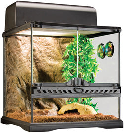 ExoTerra terrarium équipé pour invertébrés