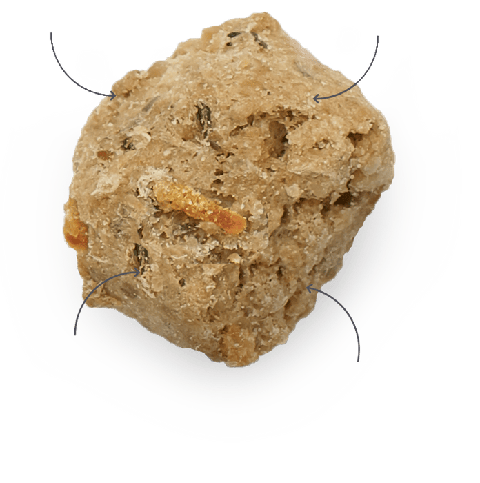 Honest kitchen dinde déshydraté sans grain nourriture pour chiens - Chien Nourriture sèche - HONEST KITCHEN - Honest kitchen dinde déshydraté sans grain nourriture pour chiens