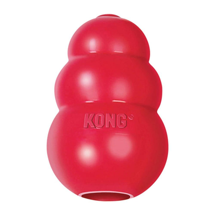 Kong classic jouet pour chien - JOUET CHIEN - Kong - Kong classic jouet pour chien