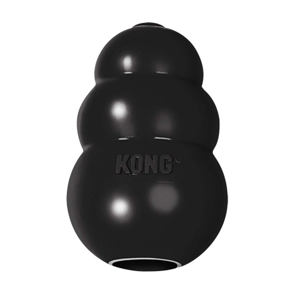 Kong extreme ultra dur pour chien - JOUET CHIEN - Kong - Kong extreme ultra dur pour chien