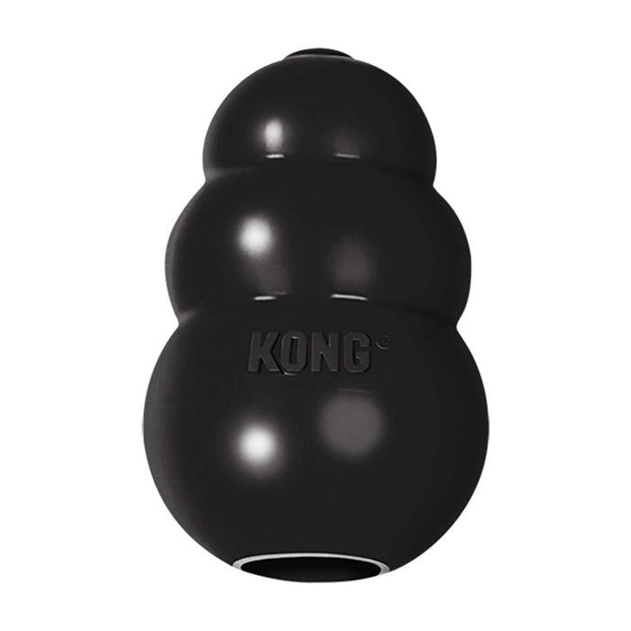 Kong extreme ultra dur pour chien - JOUET CHIEN - Kong - Kong extreme ultra dur pour chien