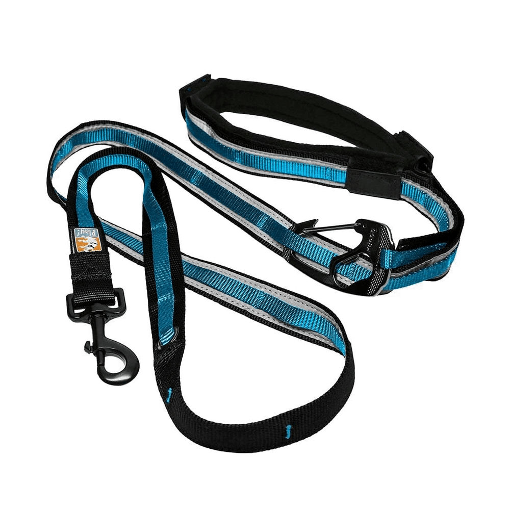 Laisse pour chien 6 En 1 quantum 72'' - Collier Harnais Laisse - Kurgo - Laisse pour chien 6 En 1 quantum 72''