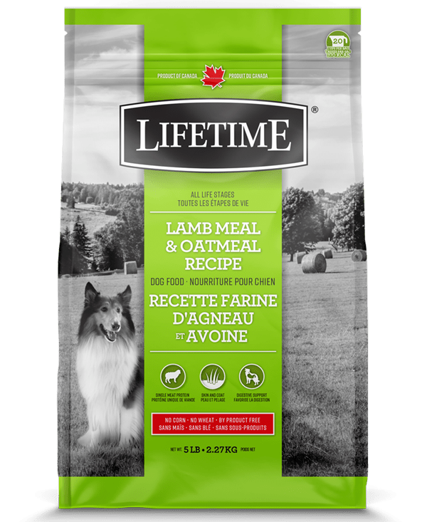 Lifetime nourriture pour chien farine d'agneau et avoine (produit du Canada) - Chien Nourriture sèche - lifetime - Lifetime nourriture pour chien farine d'agneau et avoine (produit du Canada)