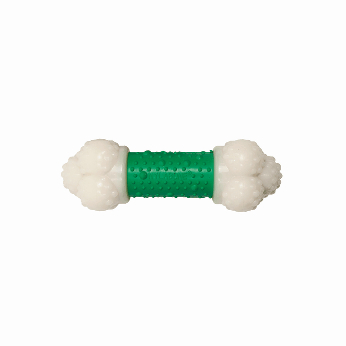 Nylabone jouet à mâcher pour chien au bacon - JOUET CHIEN - Nylabone - Nylabone jouet à mâcher pour chien au bacon