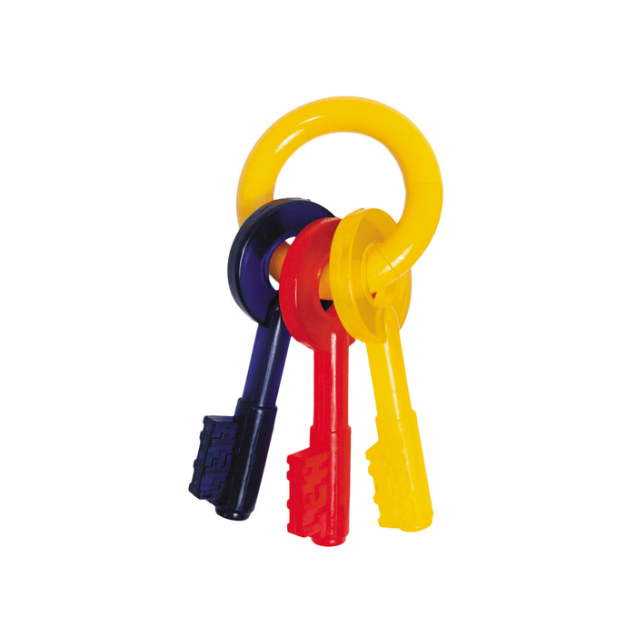 Nylabone jouet à mâcher pour chiot au bacon en forme de clés - JOUET CHIEN - Nylabone - Nylabone jouet à mâcher pour chiot au bacon en forme de clés