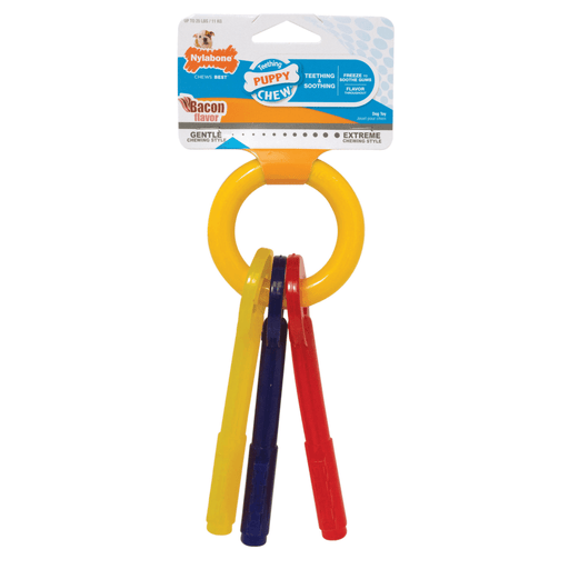 Nylabone jouet à mâcher pour chiot au bacon en forme de clés - JOUET CHIEN - Nylabone - Nylabone jouet à mâcher pour chiot au bacon en forme de clés