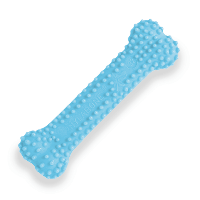 Nylabone jouet à mâcher pour chiot petit os poulet - JOUET CHIEN - Nylabone - Nylabone jouet à mâcher pour chiot petit os poulet