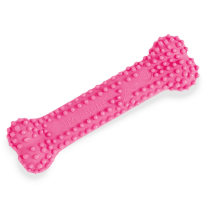 Nylabone jouet à mâcher pour chiot petit os poulet - JOUET CHIEN - Nylabone - Nylabone jouet à mâcher pour chiot petit os poulet