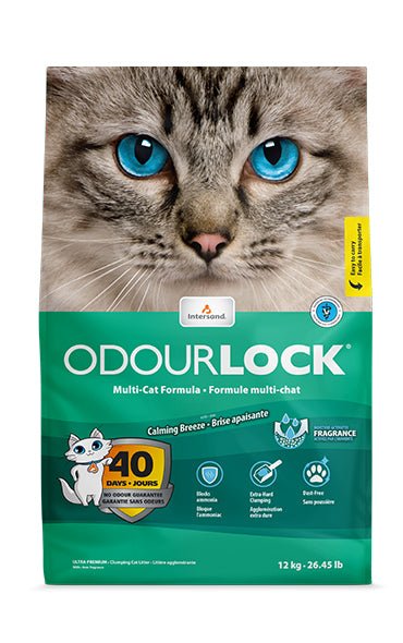 Odour lock litière agglomérante pour chat - LITIERE - INTERSAND - #original_value#