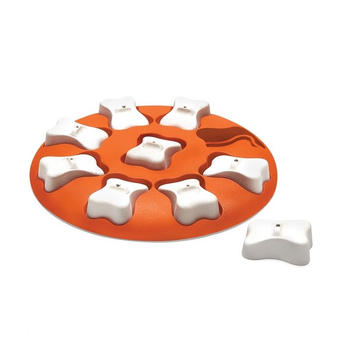 Outward Hound dog smart niveau 1 - Jeu Interactif - Outward Hound - Outward Hound dog smart niveau 1