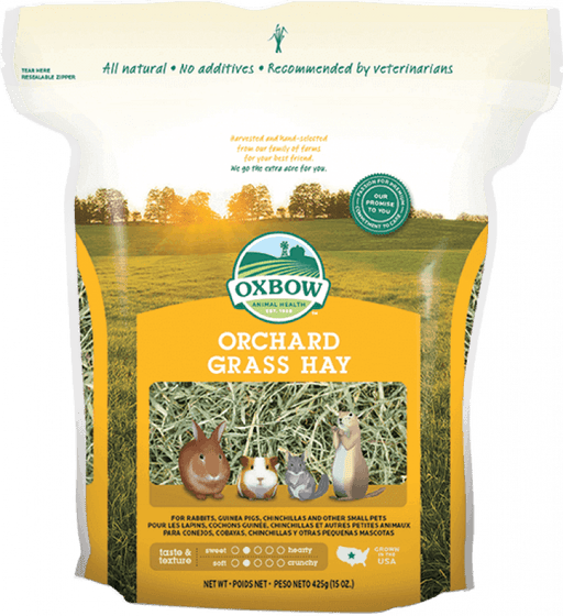 Oxbow orchard grass foin pour rongeur - Rongeur nourriture - OXBOW - #original_value#
