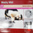Petlinks Wacky Web Electronique jouet pour chat, 9.5" L X 9.5" W X 2.5" H () - Chat jouet - PetLink - Petlinks Wacky Web Electronique jouet pour chat, 9.5" L X 9.5" W X 2.5" H ()
