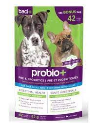 Probio+ pour chien 42 g - Supplément - Probio+ - Probio+ pour chien 42 g