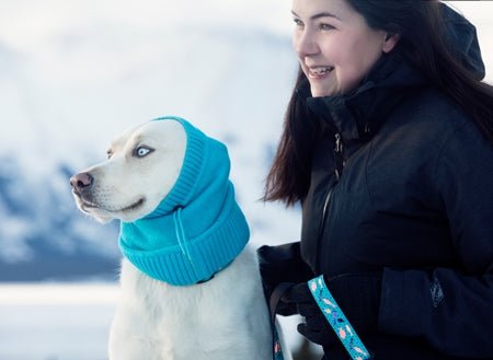 Rc pet écharpe tuque tube polaris pour chien - ÉCHARPE - RC PET - Rc pet écharpe tuque tube polaris pour chien