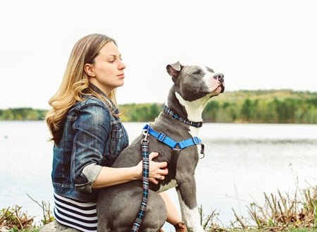 Rc pet harnais de contrôle pour chien - Collier Harnais Laisse - RC PET - Rc pet harnais de contrôle pour chien