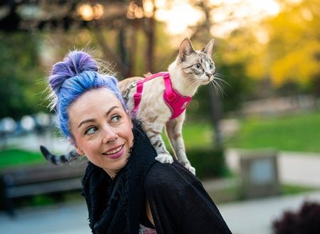 Rc pet kitty harnais adventure pour chat - Collier Harnais Laisse - RC PET - Rc pet kitty harnais adventure pour chat