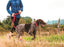 Rc pet laisse de contrôle professionnel pour chien - Laisse - RC PET - Rc pet laisse de contrôle professionnel pour chien
