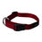 Rogz collier classic - Colliers laisses et harnais pour chiens - ROGZ - Rogz collier classic