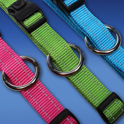 Rogz collier classic - Colliers laisses et harnais pour chiens - ROGZ - Rogz collier classic
