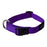 Rogz collier classic - Colliers laisses et harnais pour chiens - ROGZ - Rogz collier classic