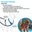 Rogz harnais pour chiens - harnais chien - ROGZ - Rogz harnais pour chiens