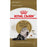 Royal Canin chat adulte race persan - Nourriture Chats - Royal Canin - Royal Canin chat adulte race persan
