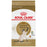Royal Canin chat adulte race siamois - Nourriture Chats - Royal Canin - Royal Canin chat adulte race siamois