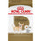 Royal Canin chien adulte race chihuahua - Nourriture Chiens - Royal Canin - Royal Canin chien adulte race chihuahua