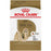 Royal Canin Chien adulte race shih tzu - Nourriture Chiens - Royal Canin - Royal Canin Chien adulte race shih tzu