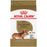 Royal Canin chien adulte race teckel - dachshund - Nourriture Chiens - Royal Canin - Royal Canin chien adulte race teckel - dachshund