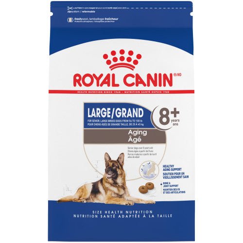 Royal Canin chien de grande race agé 8+ - Nourriture Chiens - Royal Canin - Royal Canin chien de grande race agé 8+