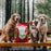 Stella & chewy's raw coated canard nourriture pour chien