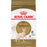Royal Canin chat adulte race sphynx
