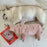 Stella gâterie bacon et porc pour chiens - Gaterie pour Chien - Stella & Chewy's - #original_value#