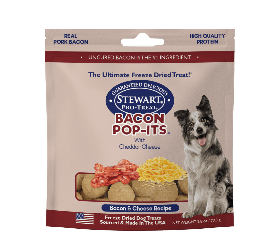 Stewart gâterie séchées à froid bacon et cheddar - Gaterie pour Chien - stewart - Stewart gâterie séchées à froid bacon et cheddar