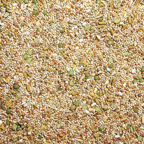 Sunseed nourriture pigeon et colombe - ACCESSOIRE OISEAUX - SUNSEED - Sunseed nourriture pigeon et colombe