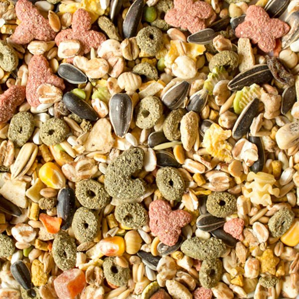 Sunseed nourriture pour perroquet - ACCESSOIRE OISEAUX - SUNSEED - Sunseed nourriture pour perroquet