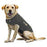 Thundershirt solution anxiety xxlarge pour chien - THUNDER SHIRT - THUNDERSHIRT - Thundershirt solution anxiety xxlarge pour chien
