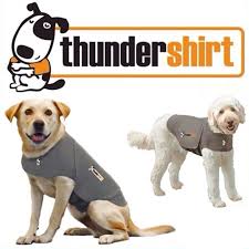 Thundershirt sport platinum large pour chien - THUNDER SHIRT - THUNDERSHIRT - Thundershirt sport platinum large pour chien